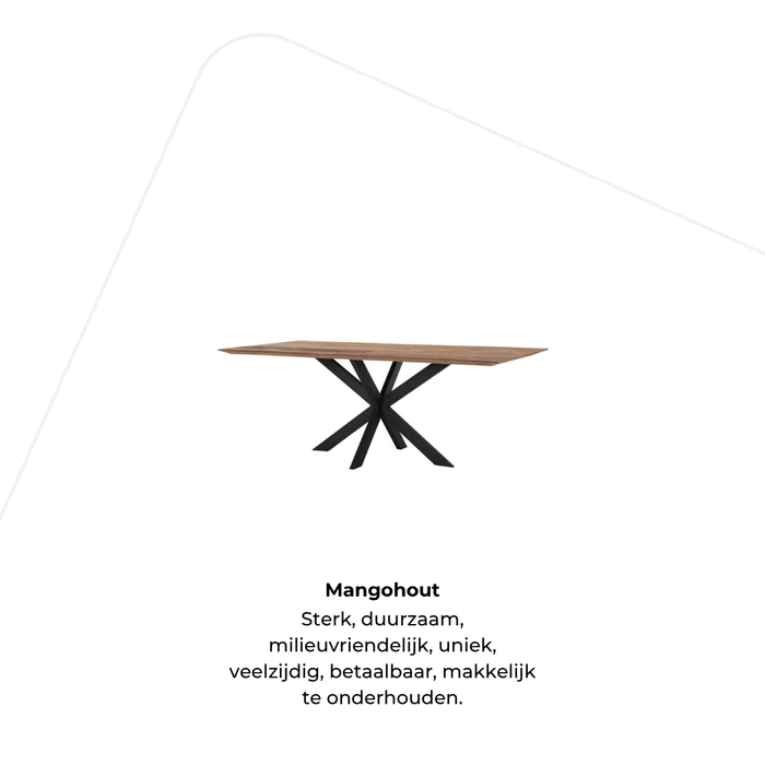 Dining table Taran Mango wood - rectangular spider leg